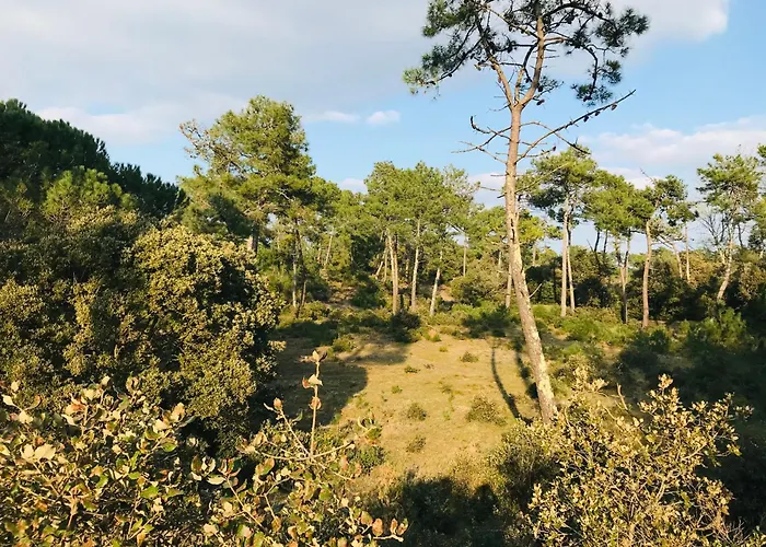 Maison D'architecte De La Paree ヴィラ サン・ジャン·ド・モン